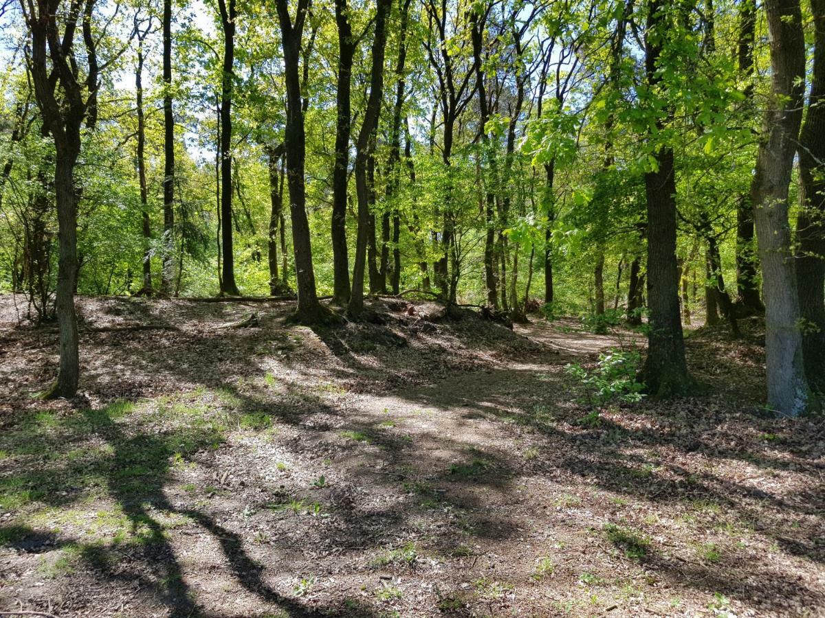 Knusse 5 Persoons Bungalow Hartje Veluwe Otterlo Dış mekan fotoğraf