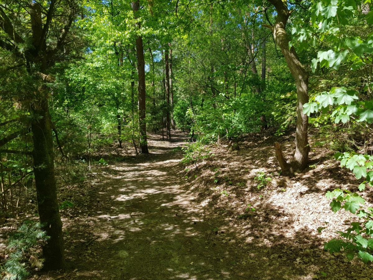 Knusse 5 Persoons Bungalow Hartje Veluwe Otterlo Dış mekan fotoğraf