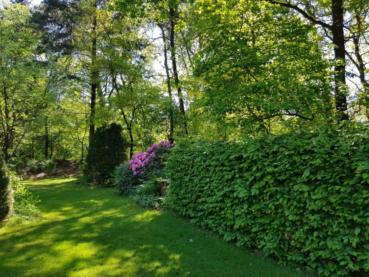 Knusse 5 Persoons Bungalow Hartje Veluwe Otterlo Dış mekan fotoğraf