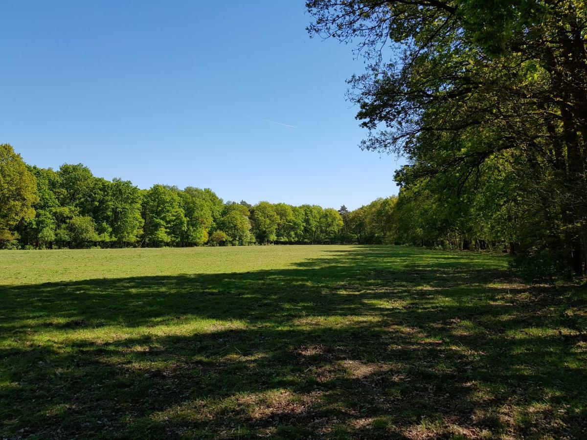 Knusse 5 Persoons Bungalow Hartje Veluwe Otterlo Dış mekan fotoğraf